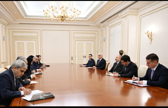 İlham Əliyev Fərzanə Sadiqi qəbul etdi - Foto