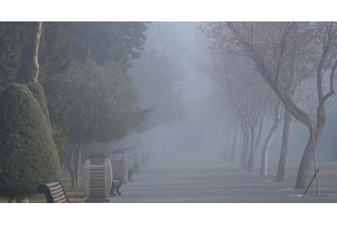 Sabah hava necə olacaq? 