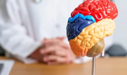 Alimlər flavonolların beyinə təsirini KƏŞF EDİBLƏR