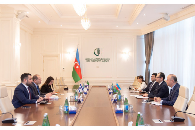 Məcnun Məmmədov səfirlə görüşdü - Fotolar