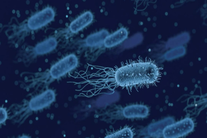 Buz nümunələrində min yeni bakteriya aşkarlanıb ALİMLƏR XƏBƏRDARLIQ EDİR