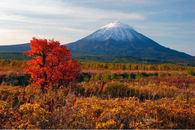 Kamçatkada 6,5 maqnitudalı zəlzələ oldu 