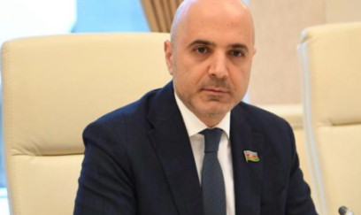 Turizm şirkətlərinin qeydiyyatı məcburi aparılsın! - TƏKLİF