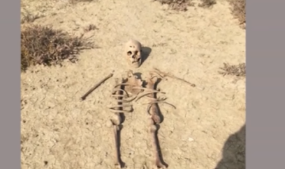 Mikayıl Müşfiqlə bağlı DNT nəticəsi açıqlandı 