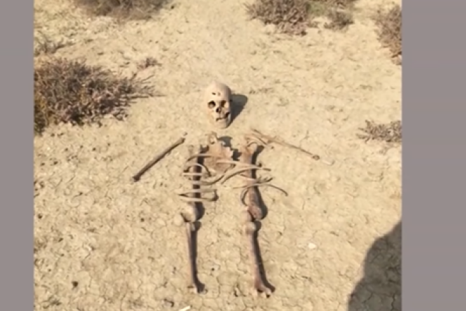 Mikayıl Müşfiqlə bağlı DNT nəticəsi açıqlandı 