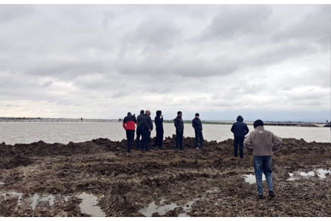 Cəlilabadda yağışlar su anbarında təhlükə yaratdı 