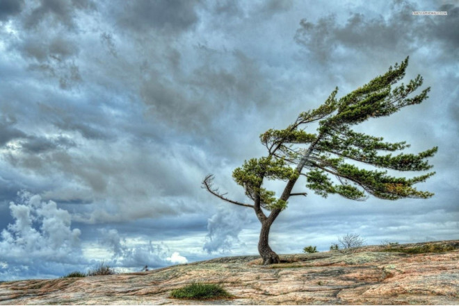 Sabah Bakıda hava küləkli olacaq, rayonlara yağış yağacaq 
