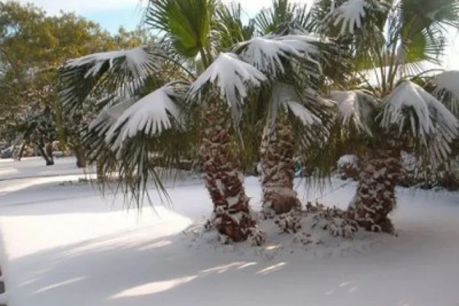 Yeni buzlaq dövrü gəlir- SENSASİON DETALLAR