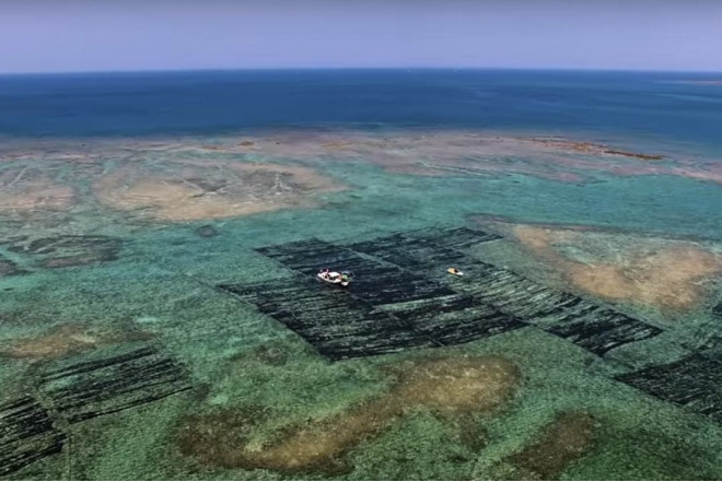 Yaponiya 50 ildən çoxdur ki, okeanın altında...
