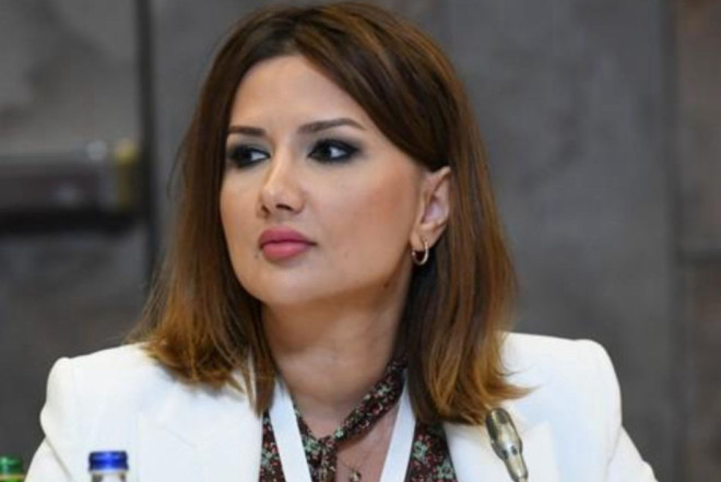 Azərbaycan regionda sabitliyin möhkəmləndirilməsinə çalışır 