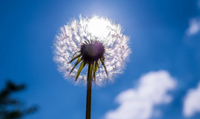 Sabah Azərbaycanda 17 dərəcə isti olacaq 