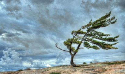 Sabah külək güclənəcək 