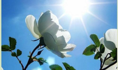 Yaz Azərbaycana bu saatda daxil olacaq 