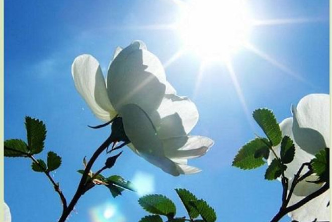 Yaz Azərbaycana bu saatda daxil olacaq 