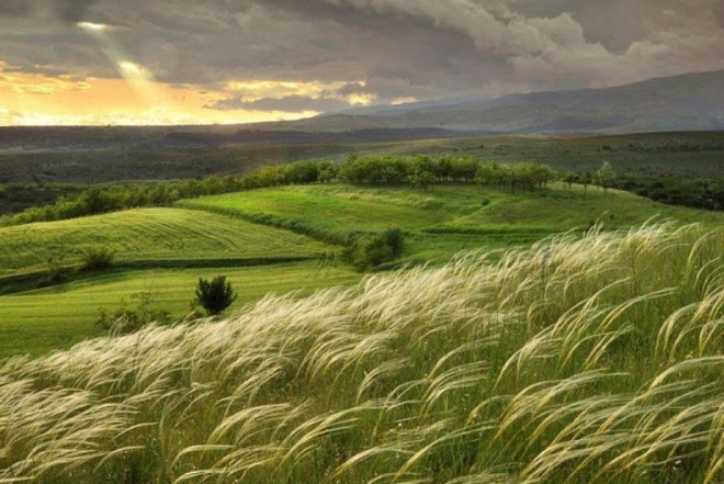 Bu gün Yel çərşənbəsidir 