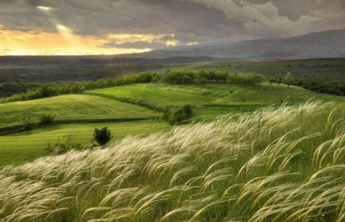 Bu gün Yel çərşənbəsidir 