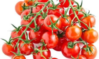 Çinli alimlər “popkorn aromalı” pomidor yetişdiriblər 