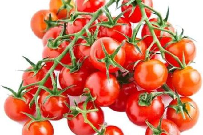 Çinli alimlər “popkorn aromalı” pomidor yetişdiriblər 