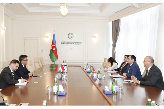 Nazir İndoneziya səfiri ilə görüşdü - Fotolar