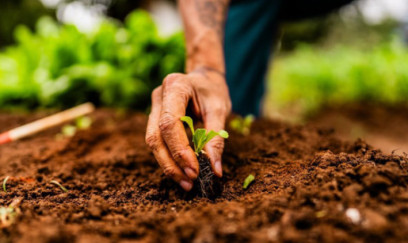 Zabux sakinlərinin nəzərinə! 