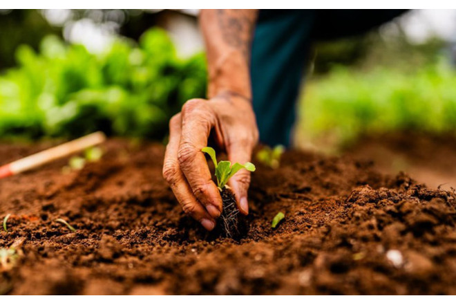 Zabux sakinlərinin nəzərinə! 