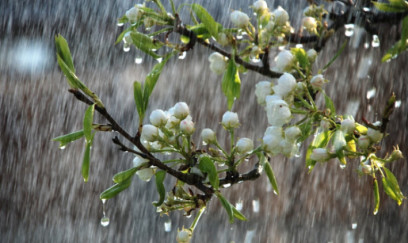 Sabahın  bəzi yerlərdə yağış yağacaq 
