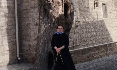 Rəsulzadənin öz əli ilə əkdiyi ağac - Fotolar