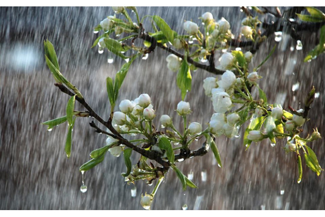 Bu tarixdə yağıntılı hava daha da intensivləşəcək 
