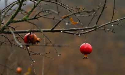 Hava ilə bağlı əhaliyə - Müraciət 