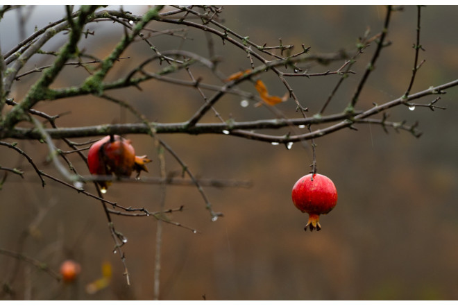 Hava ilə bağlı əhaliyə - Müraciət 