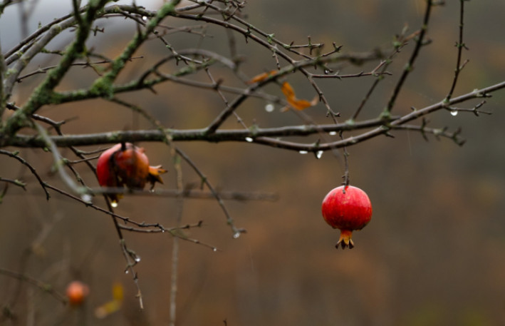 Hava ilə bağlı əhaliyə - Müraciət 