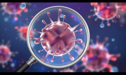 633 şagird norovirusdan zəhərlənib 