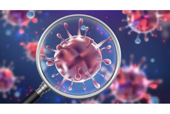 633 şagird norovirusdan zəhərlənib 