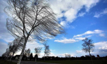 Küləkli hava şəraiti ilə bağlı sarı xəbərdarlıq verilib 