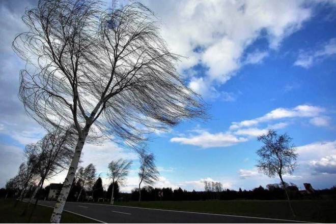 Küləkli hava şəraiti ilə bağlı sarı xəbərdarlıq verilib 