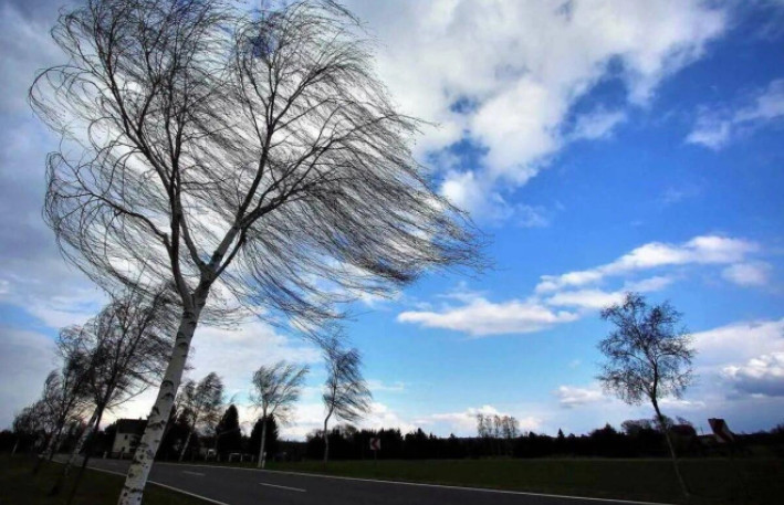 Küləkli hava şəraiti ilə bağlı sarı xəbərdarlıq verilib 