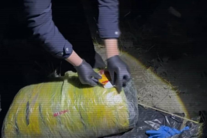 Qazaxıstanda 300 kq marixuana müsadirə edildi 