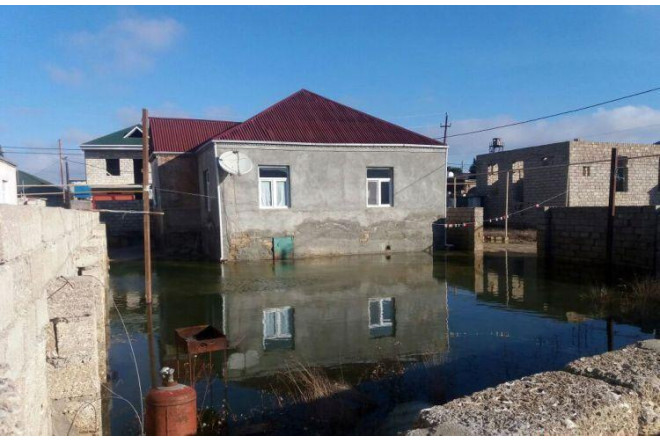 Ucuz ətin şorbası olmadı - "Makler evlərinin fəsadları 