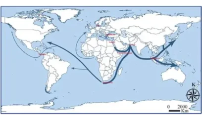 Tarixi əhəmiyyətli 7 su YOLU