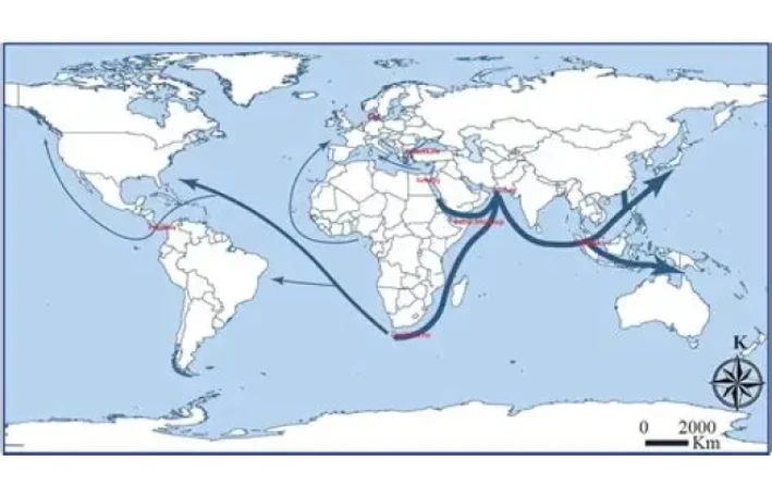 Tarixi əhəmiyyətli 7 su YOLU