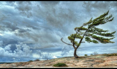 Küləkli hava şəraiti ilə bağlı XƏBƏRDARLIQ