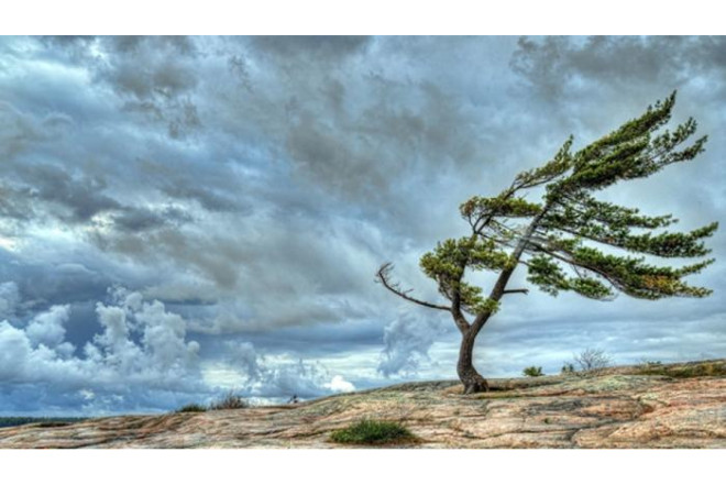 Küləkli hava şəraiti ilə bağlı XƏBƏRDARLIQ