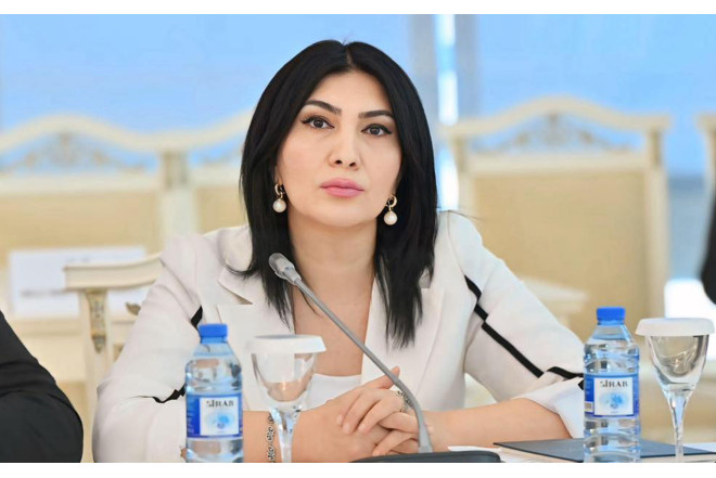 “Bu, sadəcə divara rəsm çəkmək deyil, vandalizm aktıdır” 