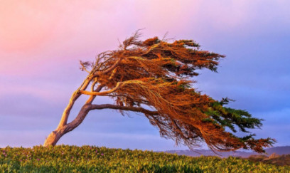 Külək güclənəcək - XƏBƏRDARLIQ