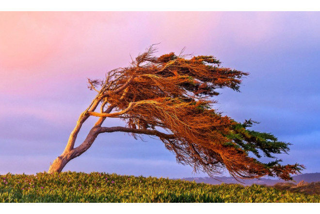 Külək güclənəcək - XƏBƏRDARLIQ