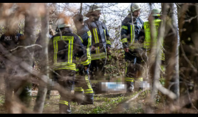 Ağac aşdı, üç nəfər öldü 