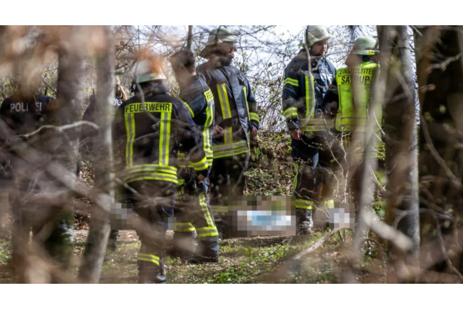 Ağac aşdı, üç nəfər öldü 