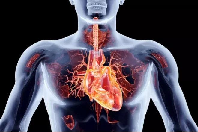 Ürək dayanmasının erkən əlamətləri - bir gün əvvəl nə hiss edirsiniz?