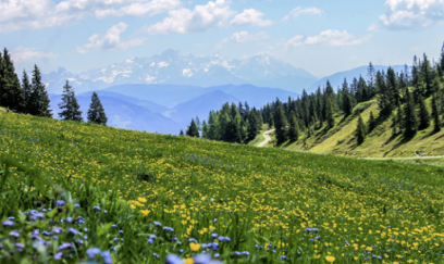 23° isti... - Sabahın havası 