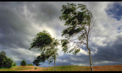 Küləkli hava ilə bağlı XƏBƏRDARLIQ